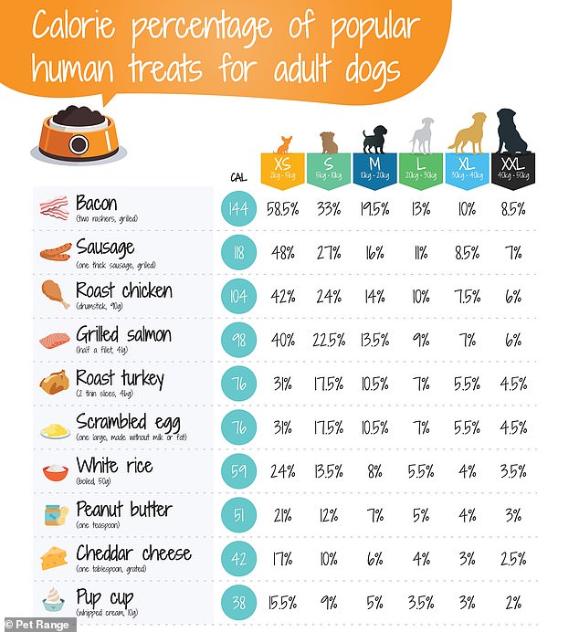 A new graphic might make you think twice before hiding your dog's leftovers under the table.  The chart reveals human foods that could make your pet fat, including grilled salmon and scrambled eggs.