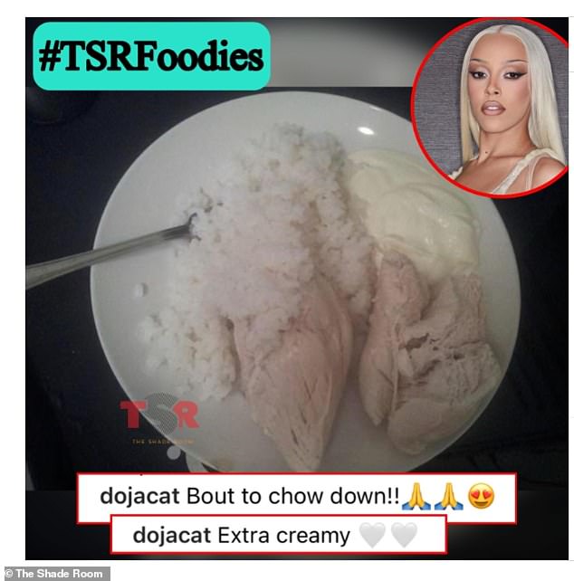 'This just made me throw up': Doja Cat's fans were left baffled when she posted a photo of her tasteless chicken and rice dinner on Instagram - but was it all it seemed?