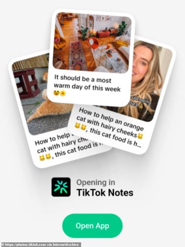 A URL owned by TikTok briefly showed what appeared to be placeholder marketing material for the new app, showing that users would be able to post images with captions.