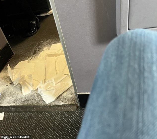 A United Airlines flight was forced to land after a dog relieved itself in the plane's aisle, just outside the first class bathroom, a spokesperson confirmed to DailyMail.com.
