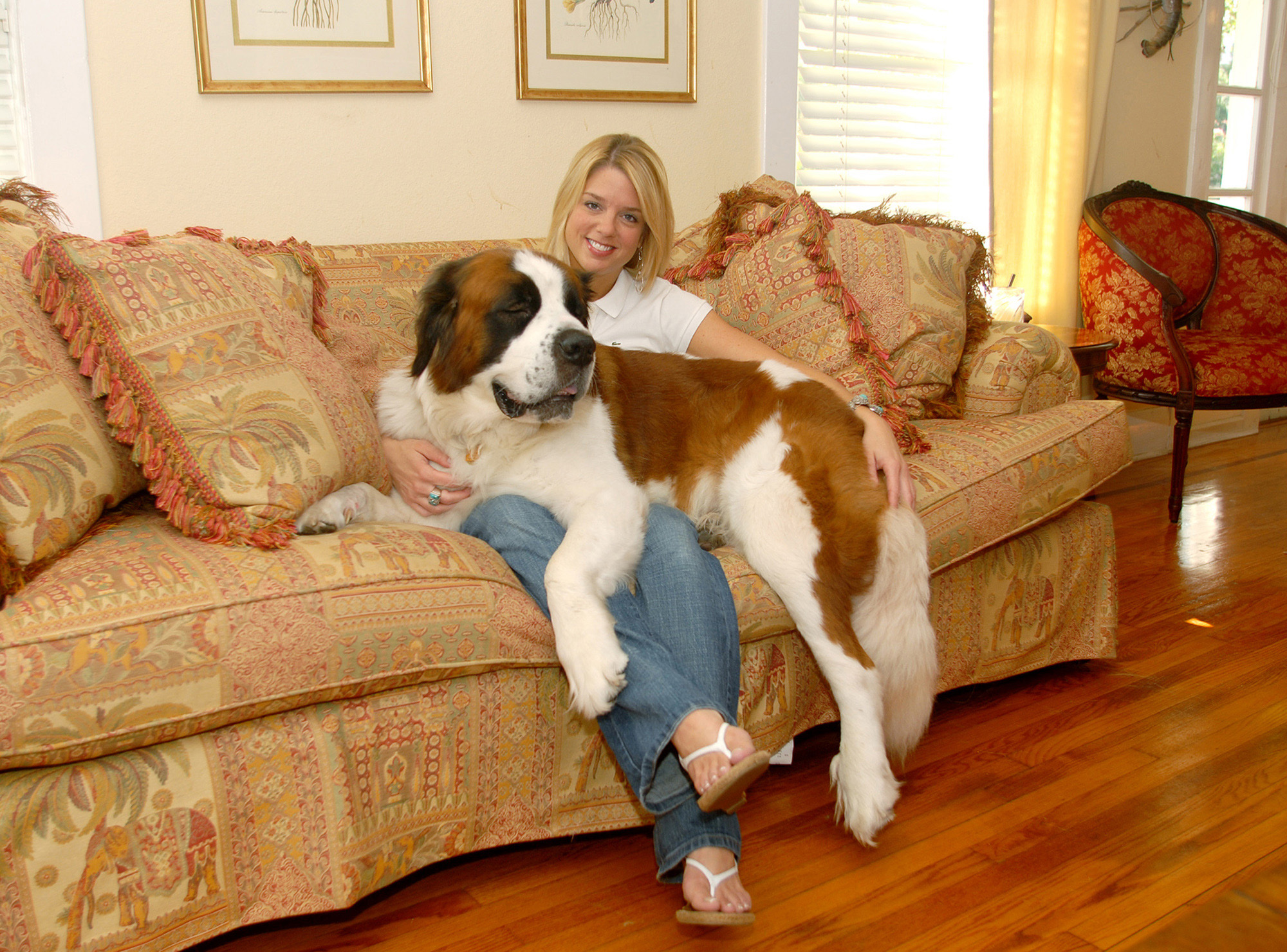 Pam Bondi sits with Noah, her adopted St. Bernard dog who was rescued from a shelter after Hurricane Katrina, on July 25, 2006, at her home in Tampa, Florida. 
