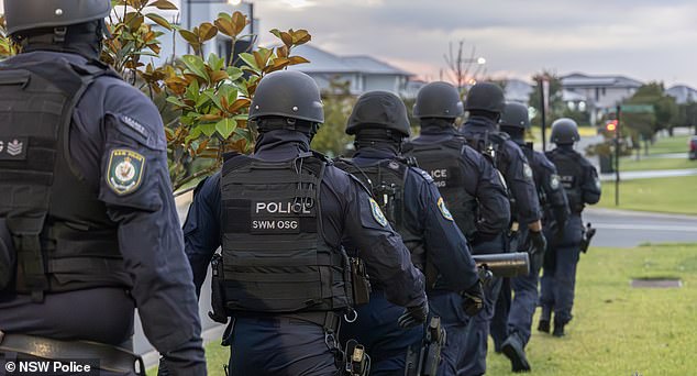 Strike force officers approached a suspected drugs syndicate and raided four homes in Harrington Park (pictured), Ingleburn, Abbotsbury and Bondi on Tuesday.