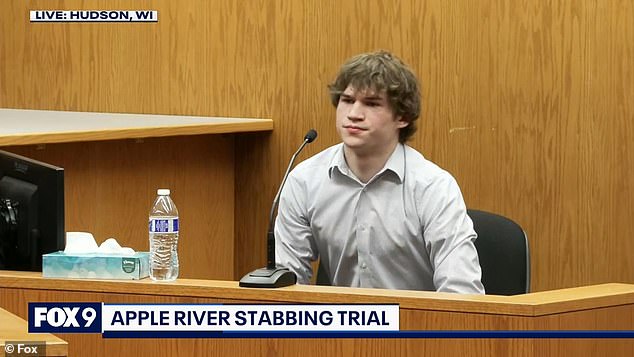 Owen Peloquin, 19, testified in court on Monday during the second week of the trial, detailing the moment engineer Nicolae Miu, 54, attacked the group with a knife on July 30, 2022.