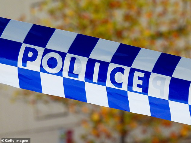 A woman tried to grab a child from the street at a bus stop in rural New South Wales (file image)