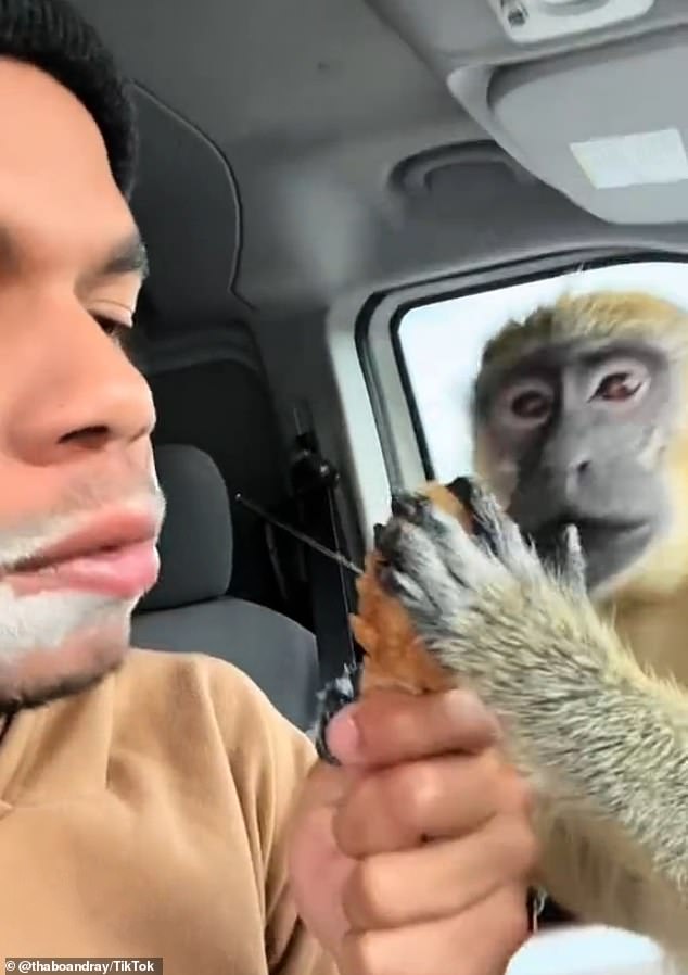 Feaste claims to have rescued his TikTok co-star from a laboratory in Las Vegas, where the monkey's mother was allegedly killed.