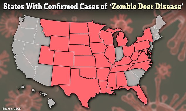At least 33 states in the United States and parts of Canada have seen reports of a virus called 