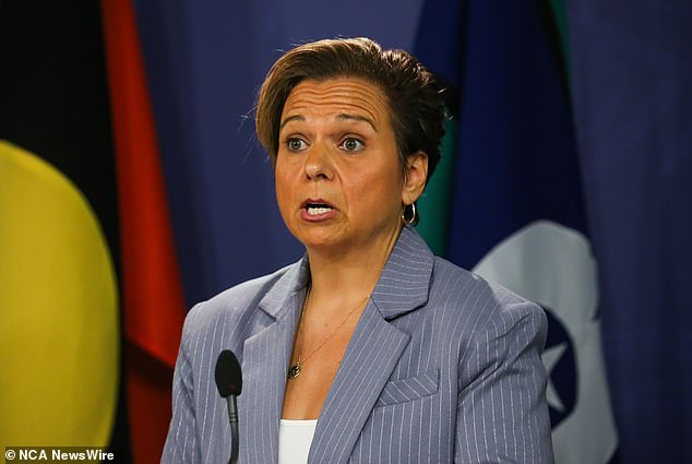 Communications Minister Michelle Rowland (pictured) also announced a review into preventing children from being exposed to hardcore pornography.
