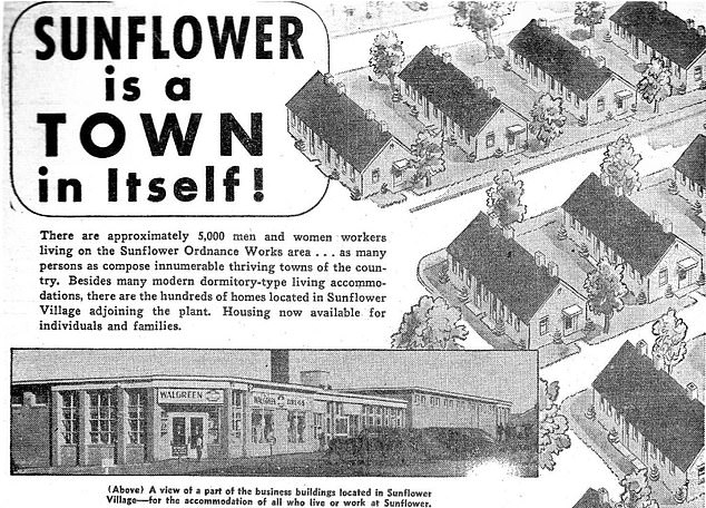 Opened as 'Sunflower Village' in 1943, the settlement provided housing for workers at the nearby Girasol Ordnance Works, which became the largest smokeless powder and propellant plant after Pearl Harbor.
