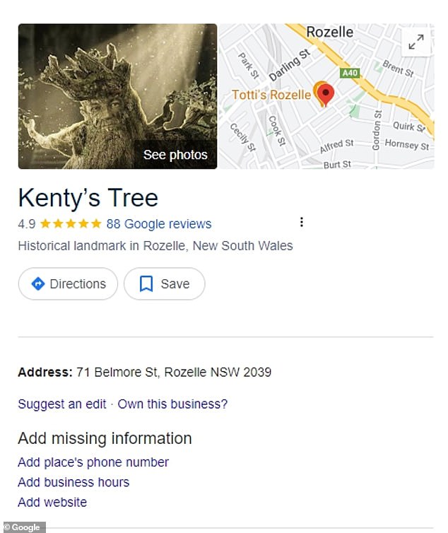 Now the paperbark tree has become a local landmark on Google Maps (pictured), with a 4.9 star rating and some very cheeky reviews.