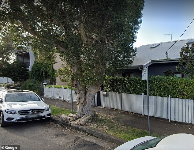 The tree in front of the Three Weeds Hotel in the inner western Sydney suburb of Balmain has been described as the 