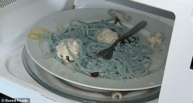That blue stuff is spaghetti covered in mold after the person who heated this food put it in the microwave and then forgot about it for three weeks.