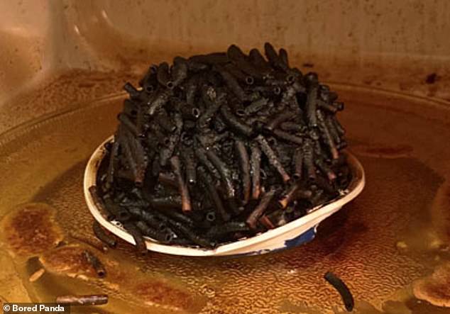 Shared by a social media user believed to reside in North America, this gruesome image looks like it could be worms;  Luckily, it's just instant macaroni and cheese that they forgot to put water in.