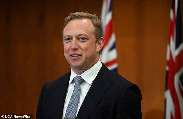State Premier Steven Miles (pictured) said homeowners will not have to pay a cent for electricity for the first three months of the financial year.