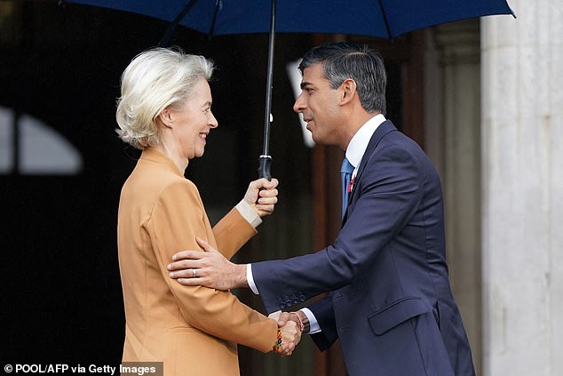 Rishi Sunak (R) was supposed to raise the EEA plans during a call with Emmanuel Macron last month, but the two leaders ended up addressing other issues.  But he did speak to Ursula von der Leyen (left), the president of the European Commission who hopes to be re-elected next month, about the new controls.