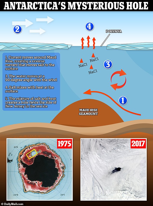The polynya was caused by a combination of ocean water currents, wind, and rising salt levels in the water that melted sea ice.