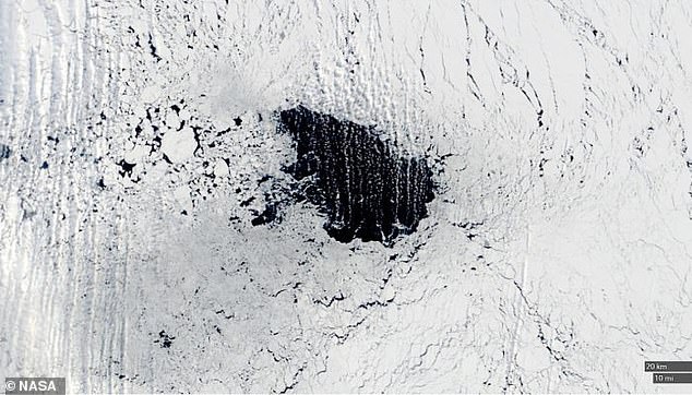 Experts said 2017 (pictured) was the first time we had such a large and long-lasting polynya in the Weddell Sea since the 1970s.