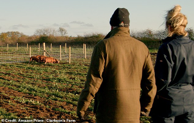 Clarkson watches his pigs with his girlfriend Lisa Hogan