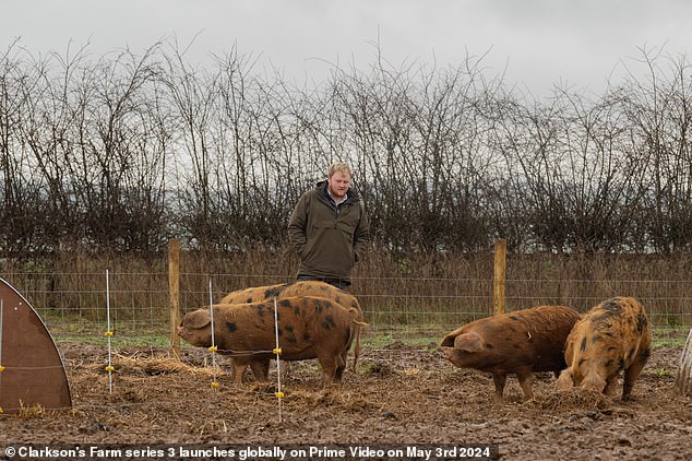 Diddly Squat Farm becomes home to a herd of rare breed pigs, as Jeremy turns around his latest harebrained scheme to make money for the farm.