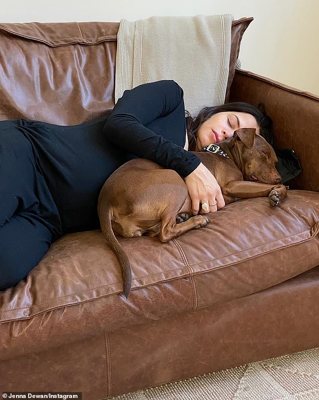 The final image is of Jenna asleep on a brown leather couch while cuddling one of her dogs.