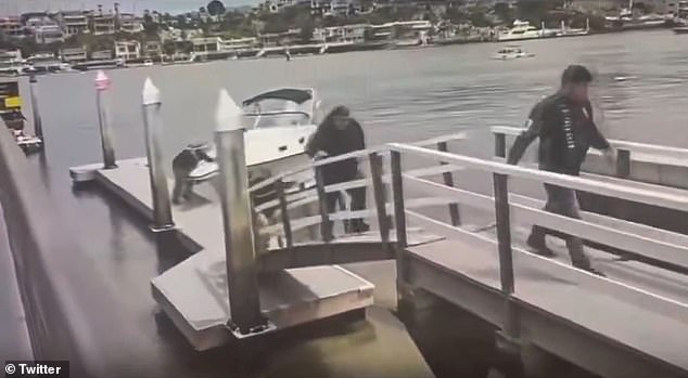 About 20 migrants ran from a boat after it docked at a marina at the tip of the Balboa Peninsula in Newport Beach, California, on Thursday morning.