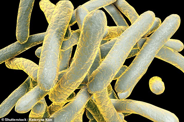 A total of 14 cases of tuberculosis had been confirmed as of Monday, but researchers also identified another 170 people who may have been exposed.  Pictured is a 3D illustration of the Mycobacterium tuberculosis bacteria.