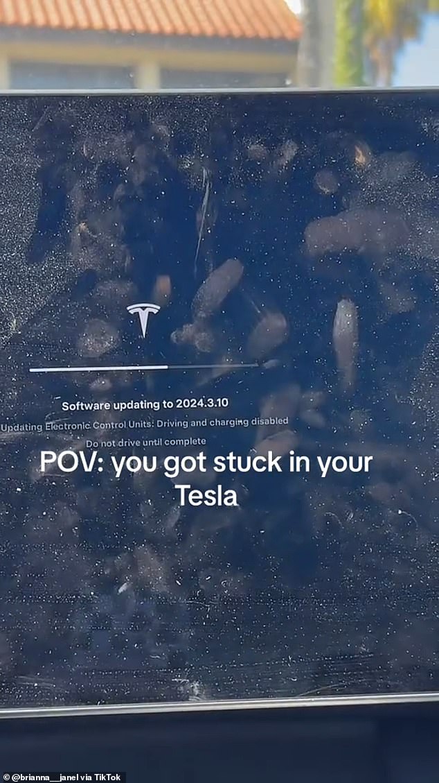 Brianna Janel expected the software update to take 24 minutes, but last month she was trapped inside her vehicle for nearly 40 minutes.