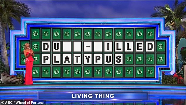 The contestant made it to the quick round, where the remaining letters on the board read 'DU _ _ – _ _ LLED PLATYPUS'.