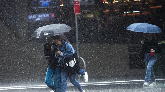 Sydney is expected to receive up to 60mm of rain on Sunday afternoon and into the evening as heavy rain, which has hit the eastern states this week, continues.