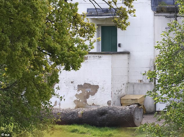 Other parts of the building in Windsor appear to have deep stains in the white paint.