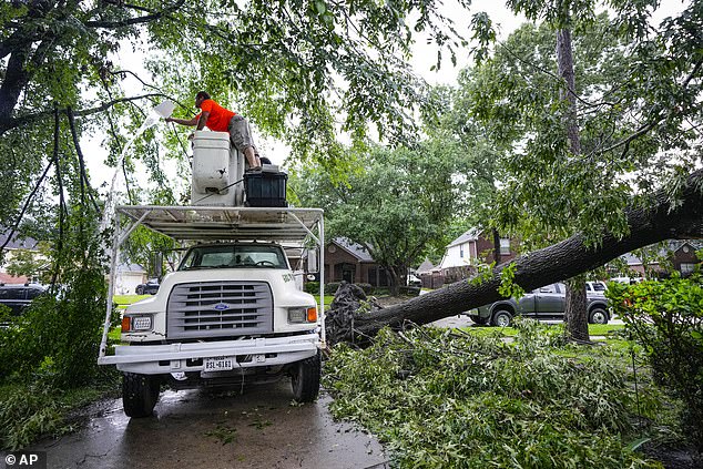 A utility worker is seen tying up power lines after a huge tree fell on a home in Spring, Texas.