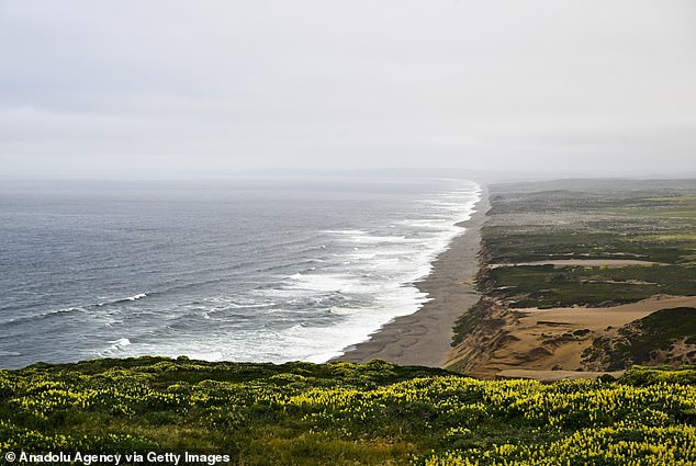 His body was found dead in the waters off Drakes Beach in Point Reyes, near San Francisco, a day after his arrest on suspicion of sexually abusing a child.