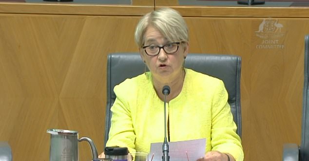 Greens senator Barbara Pocock (above) has a way of making inaccurate comments under privilege