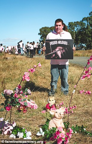 Activists protested with banners and pig toys outside the pigsty for therapy after the incident.