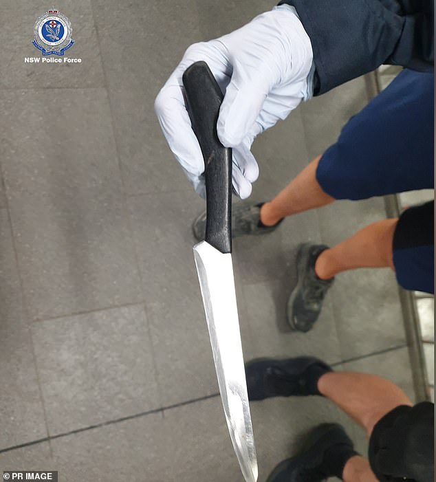 NSW Police will be given new powers to scan people for weapons in public places. Pictured is a recent police operation against knife crime.