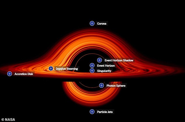 An annotated black hole: right in the center is the event horizon, the point at which nothing, not even light, can escape.