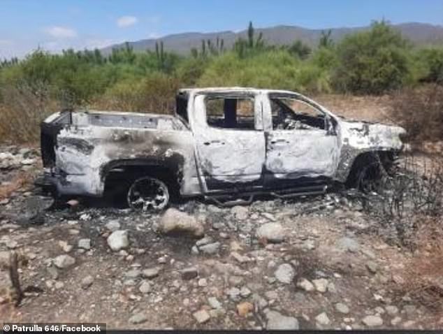 The style of the executions has raised fears locally about the possible involvement of drug cartels that are rife in the region (pictured: the trio's vehicle was later found burned in the Santo Tomás area).