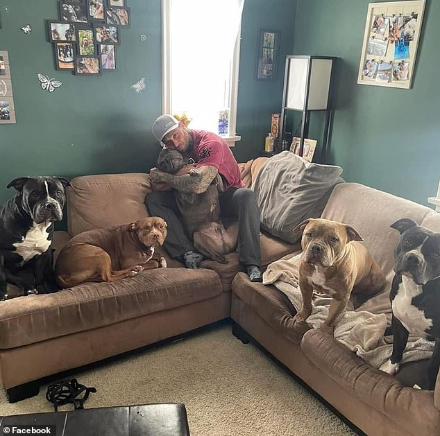 Bagaric reshared several old photos of at least five pit bulls on social media.