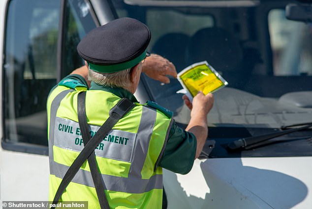 Threat: Traffic wardens have a reputation as professional wreckers, endlessly patrolling the streets in search of a vehicle they can slap a nasty parking ticket on.