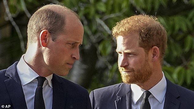 It is also understood that Prince Harry will not visit Prince William and his wife Kate, who is receiving cancer treatment.  In the photo: The brothers together in 2022