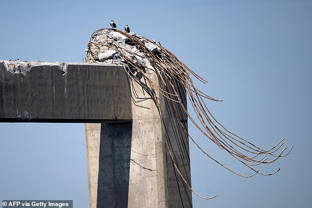 Birds rest on the remains of the Key Bridge after the Dalí freighter collided and collapsed