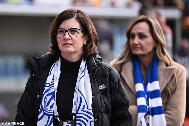 North Melbourne president Dr Sonja Hood walked away from X over vile trolling