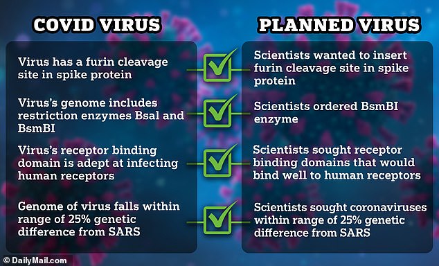 In 2018, scientists attempted to create a new virus with characteristics that closely resembled those of SARS-CoV-2, the virus that causes Covid and which some believe serves as a model for Covid and the resulting pandemic.