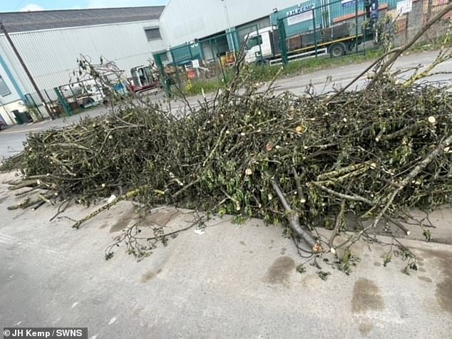 Security cameras from storage facilities company JH Kemp Ltd captured the skip in action at around 7.45pm on Saturday.