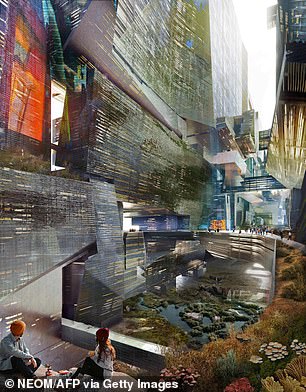 Conceptual images show the imagined view between The Line's two superstructures.