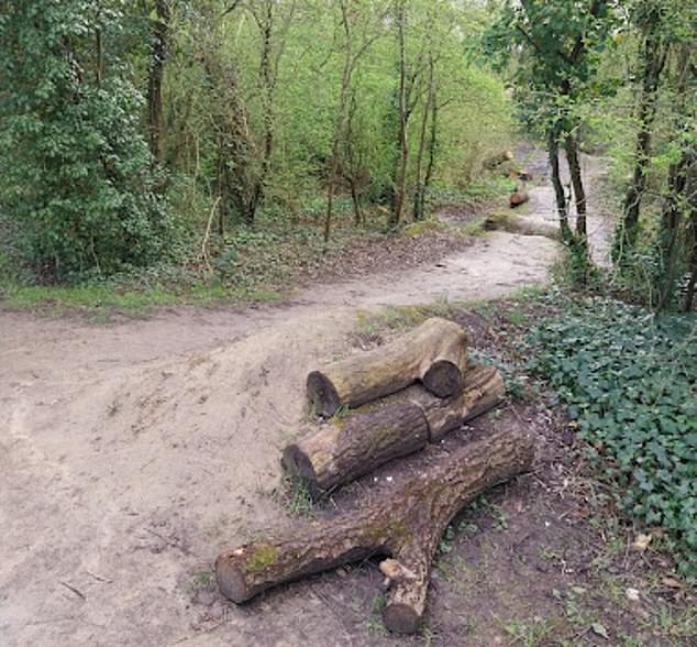 The main suspect, the girl's 14-year-old boyfriend, is alleged to have taken the girl with him to the wooded area called Kabouterbos in Kortrijk, West Flanders, where she was assaulted by up to 10 boys who reportedly shared images of the attack on social networks