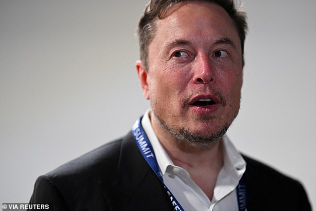 Elon Musk (pictured), who boasts of 'always beating the drum', has been warning about a decline in births for years