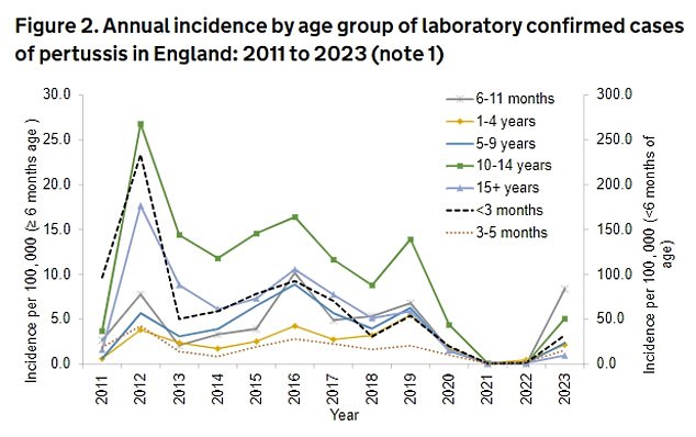 More than half (50.8 percent) were among people ages 15 and older, and more than a quarter (28.6 percent) were among children ages 10 to 14. But pertussis rates remained highest in babies under three months old, UKHSA said, with 108 cases