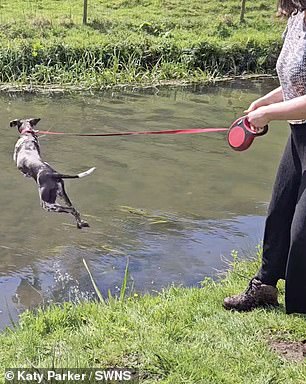 Winnie happily jumped into the water.