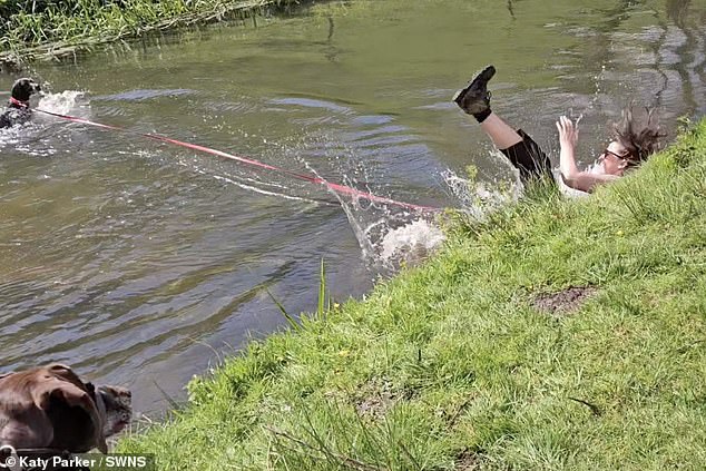 Moments earlier, he captured panoramic images of Steph watching her dog playfully splash in and out of the water.