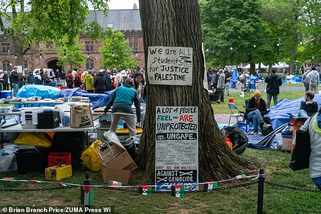 The data suggests that most Americans are unhinged about the protesters who have been seriously disrupting college life across the country.